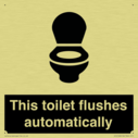 this-toilet-flushes-automatically~